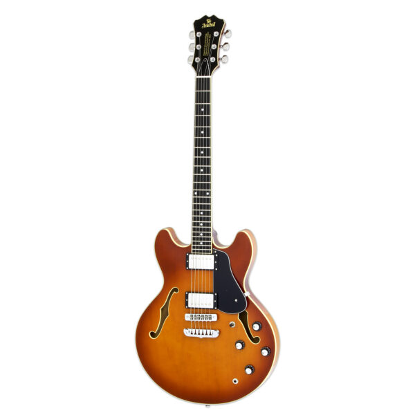 Aria hollow body on sale electric guitar