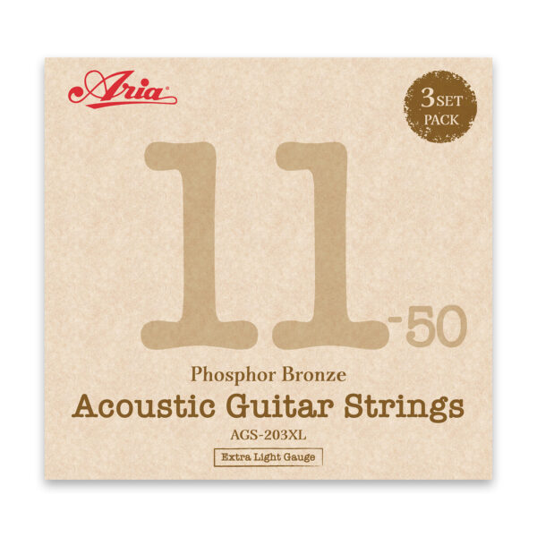AGS-203XL "3 Set" - Acoustic  Extra Light