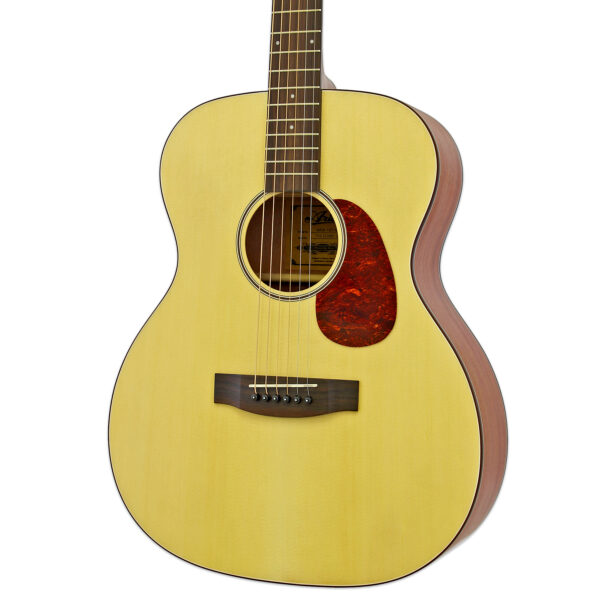 ARIA-101 - Aria Guitars - Electric, Acoustic, Classical Guitars