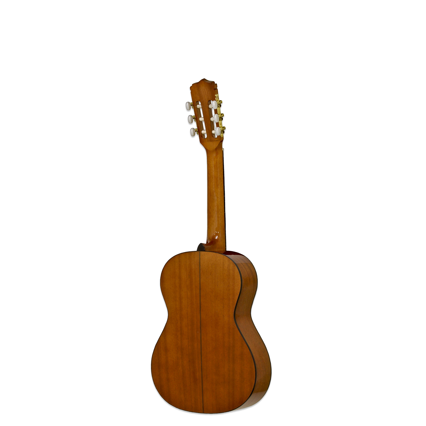 A-20-53 - Aria Guitars - Electric, Acoustic, Classical Guitars and Bass