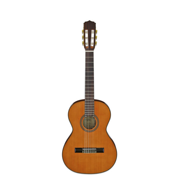 A-20 - Aria Guitars - Electric, Acoustic, Classical Guitars and Bass