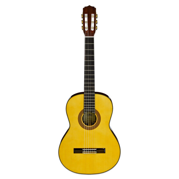 A-20-53 - Aria Guitars - Electric, Acoustic, Classical Guitars and