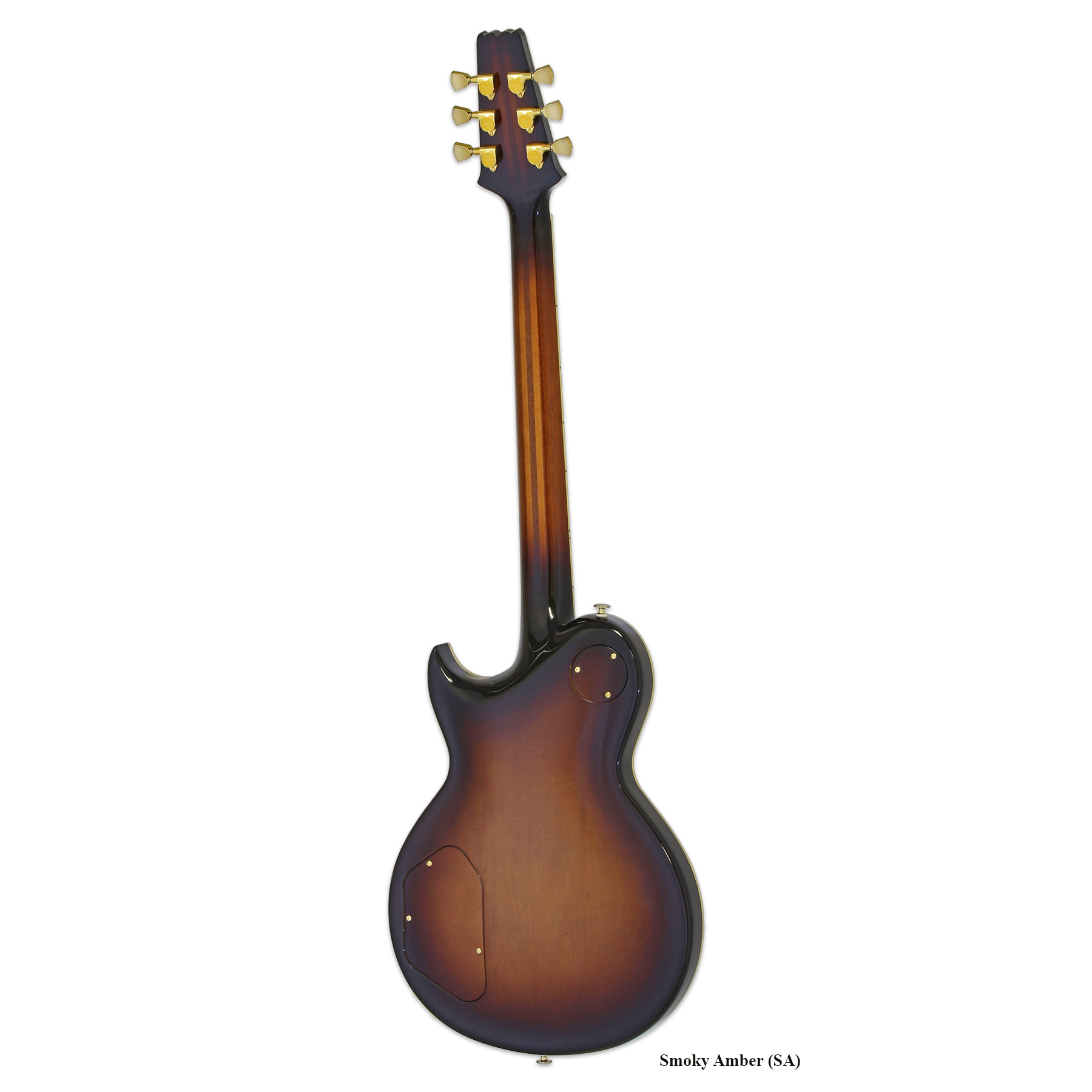 PE-R100 - Aria Guitars - Electric, Acoustic, Classical Guitars and 