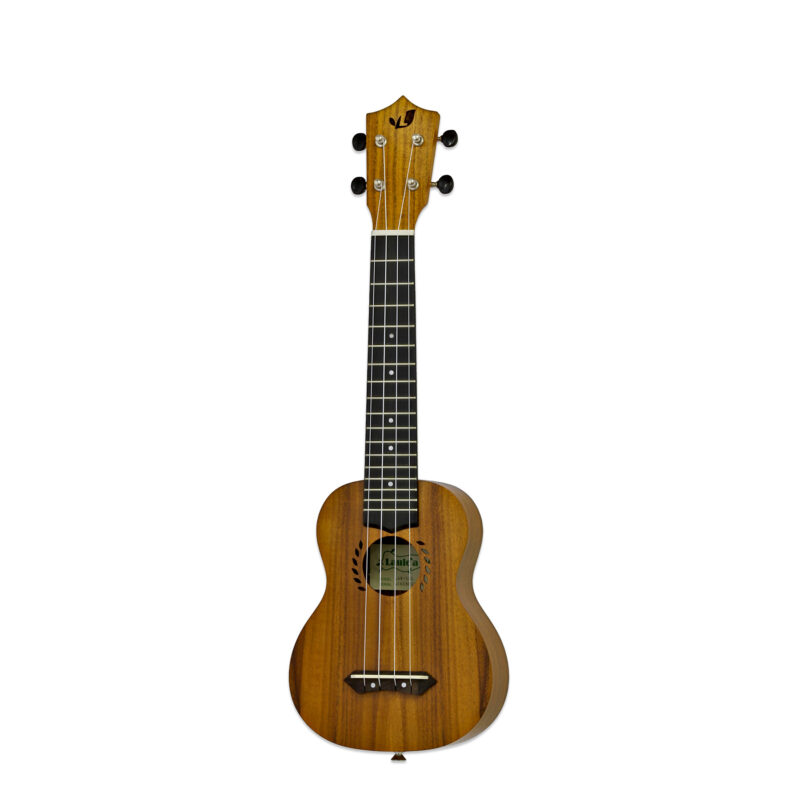 714-MK2 -Fullerton- Aria Guitars - Electric, Acoustic, Classical ...