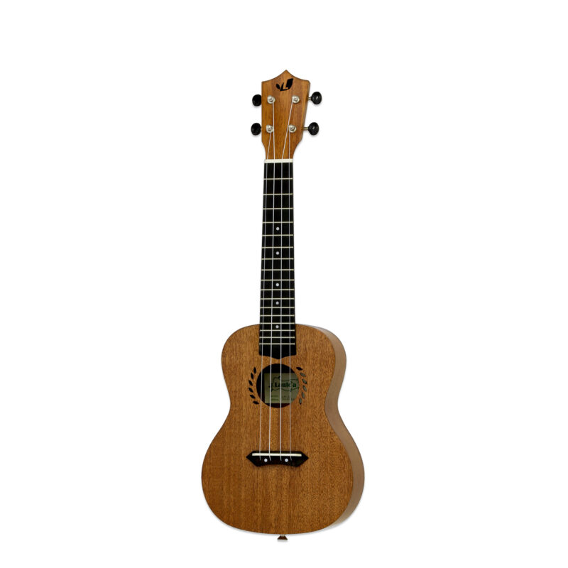 714-MK2 -Fullerton- Aria Guitars - Electric, Acoustic, Classical ...