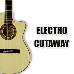 ELECTRO CUTAWAY