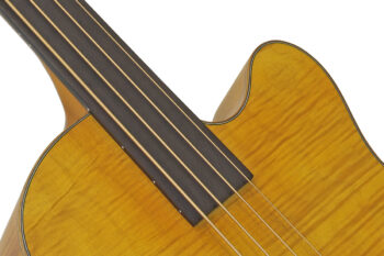 FEB-F2/FL - Full Scale Fretless - Aria Guitars - Electric, Acoustic,  Classical Guitars and Bass