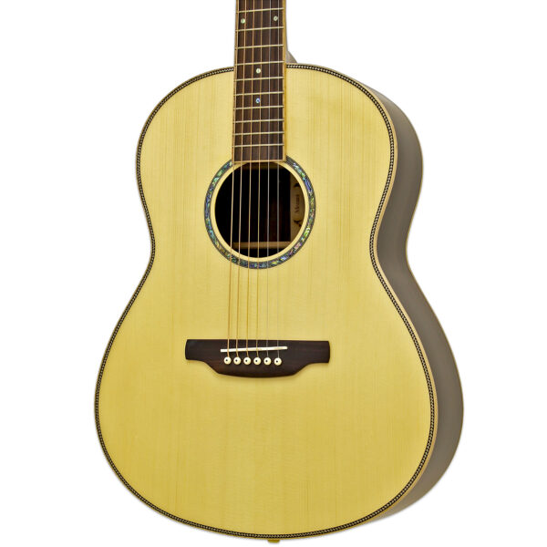 MSG-05 - Aria Guitars - Electric, Acoustic, Classical Guitars and Bass