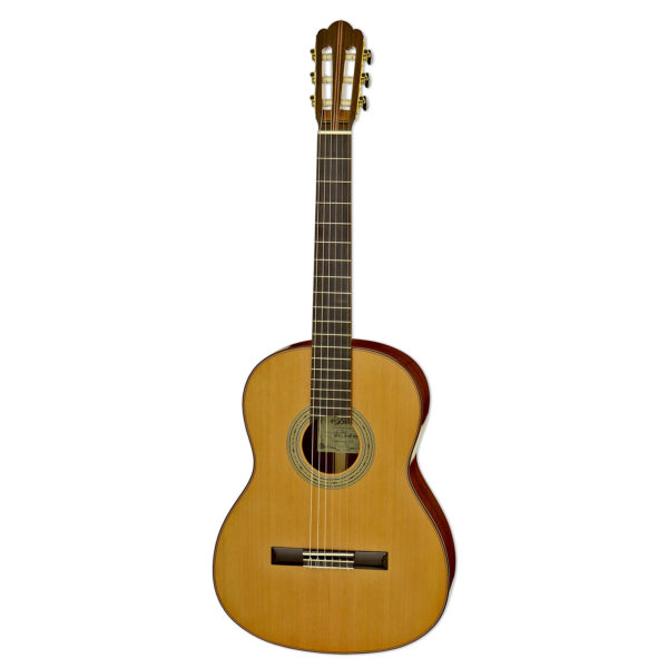 A-48CE - Aria Guitars - Electric, Acoustic, Classical Guitars and Bass