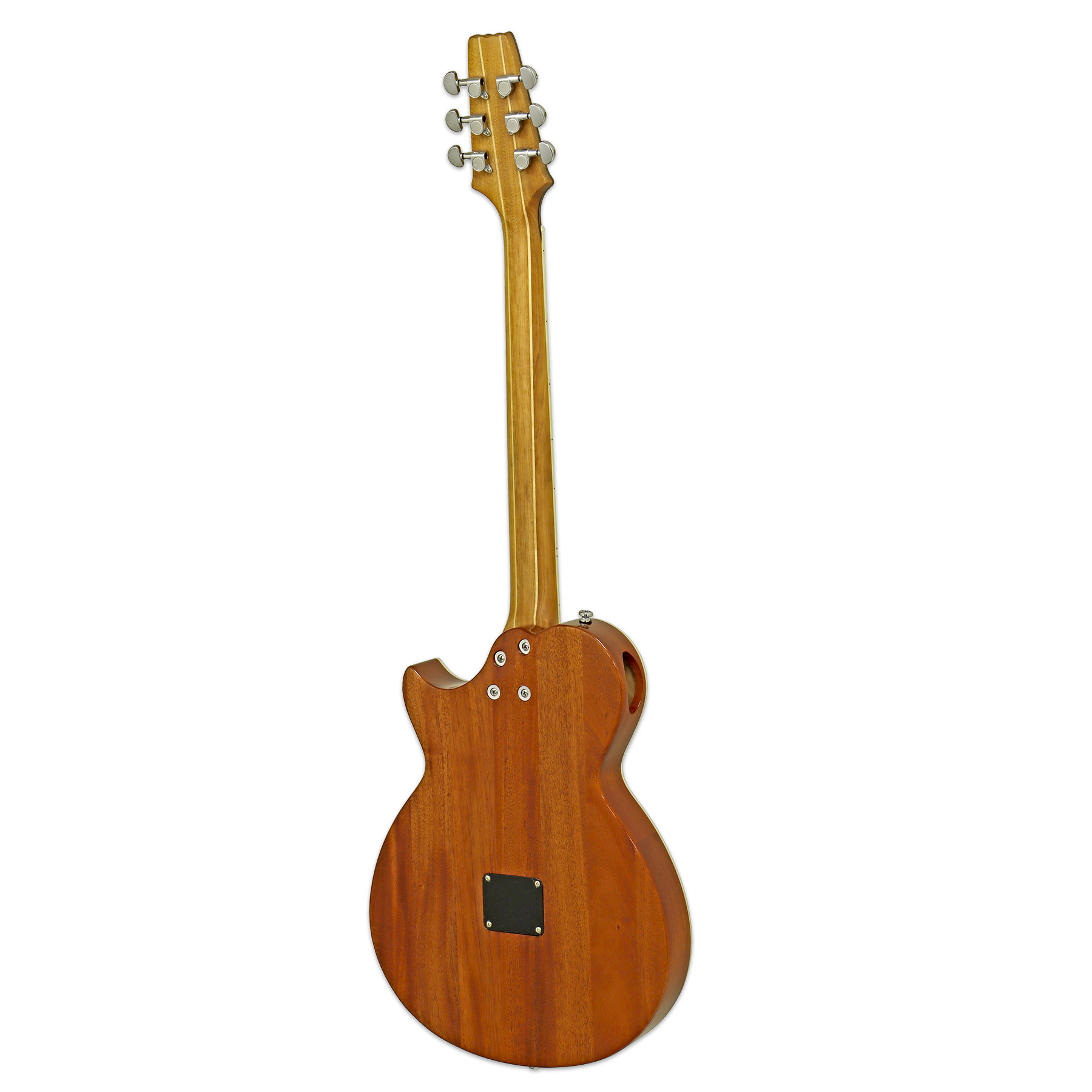 APE-100 - Aria Guitars - Electric, Acoustic, Classical Guitars and 