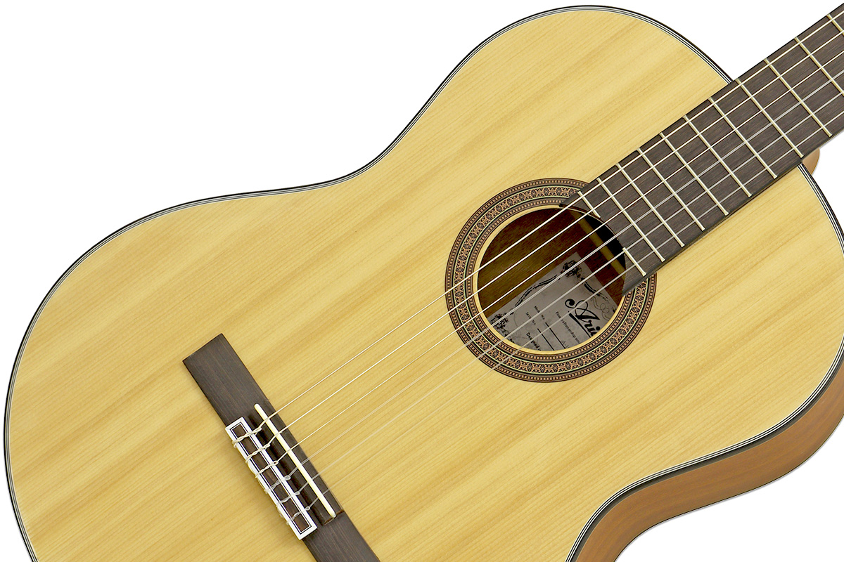 A10 Aria Guitars Electric, Acoustic, Classical Guitars and Bass