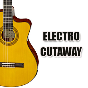 ELECTRO CUTAWAY